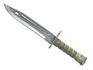 BAYONET